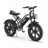 [USA DIRECT] HAPPYRUN HR-G50 Electric Bike 48V 18Ah Battery 750W Motor 20inch Tires 110KM Mileage 120KG Max Load Electric Bicycle COD