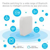 MOES Tuya Wireless Gateway Hub Wired Multi-mode Bridge Bluetooth Remote Controller Mesh Gateway Smart Life APP Alexa Google Home COD