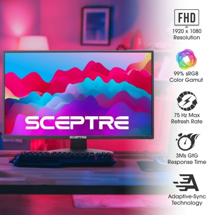 Sceptre 22 inch 75Hz 1080P LED Monitor 99% sRGB HDM X2 VGA Build-In Speakers Machine Black (E225W-19203R series) COD