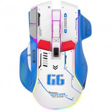 HXSJ G6 Wireless Gaming Mouse 10 Keys 11 RGB 1200-4000DPI Tri-mode Gamer Mouse for PC Laptop Computer COD